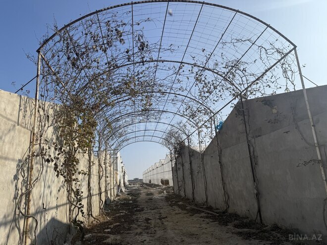 Продаётся  объект 40 000 м², пос. Тюркан, photo 3 from 17