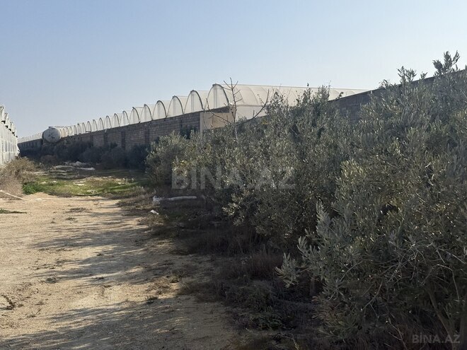 Продаётся  объект 40 000 м², пос. Тюркан, photo 14 from 17