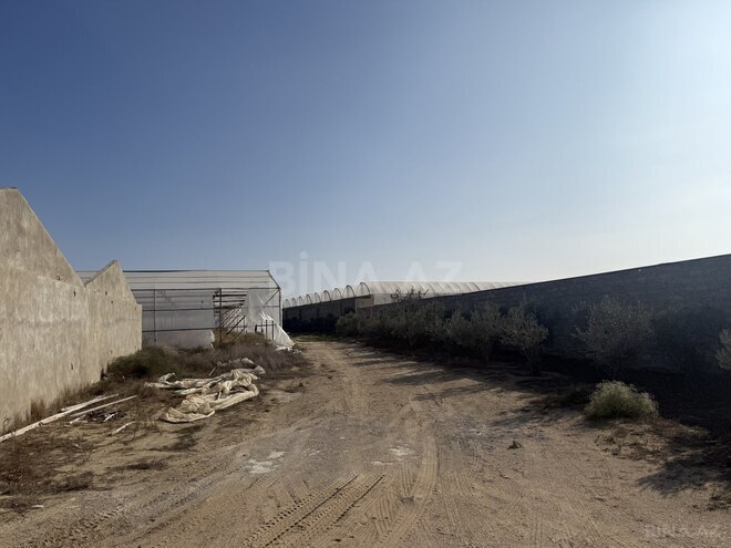 Продаётся  объект 40 000 м², пос. Тюркан, photo 16 from 17