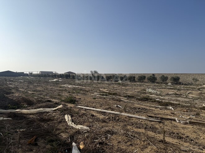 Продаётся  объект 40 000 м², пос. Тюркан, photo 13 from 17