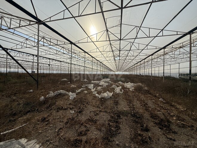 Продаётся  объект 40 000 м², пос. Тюркан, photo 11 from 17