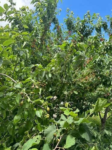 Продаётся 5-комн. дом/дача 325 м², photo 16 from 18