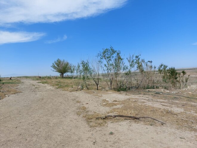 Satılır  torpaq 70 000 sot, photo 13 from 21