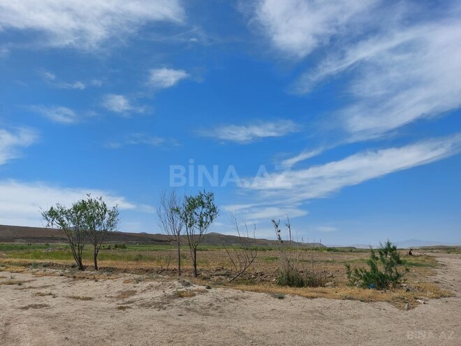 Satılır  torpaq 70 000 sot, photo 16 from 21