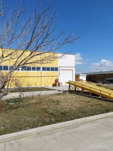 Satılır  obyekt 7 700 m², Qobu q., photo 5 from 30