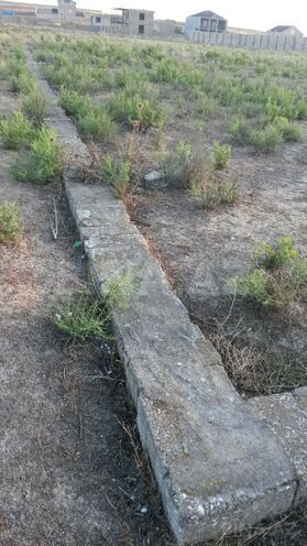 Продаётся  участок 100 сот, Пираллахи р., photo 5 from 16