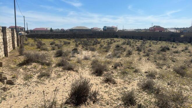 Продаётся  участок 100 сот, Пираллахи р., photo 13 from 16