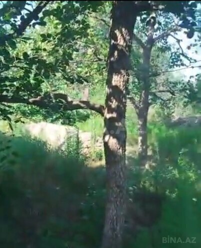 Продаётся 4-комн. дом/дача 150 м², photo 5 from 23