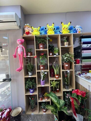 Satılır  obyekt 12 m², Sahil m., photo 4 from 11