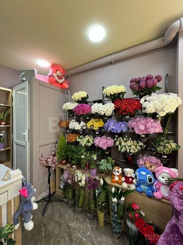 Satılır  obyekt 12 m², Sahil m., photo 3 from 11