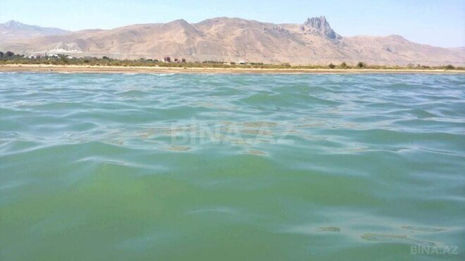 Satılır 10 otaqlı həyət evi/bağ evi 400 m², photo 11 from 12