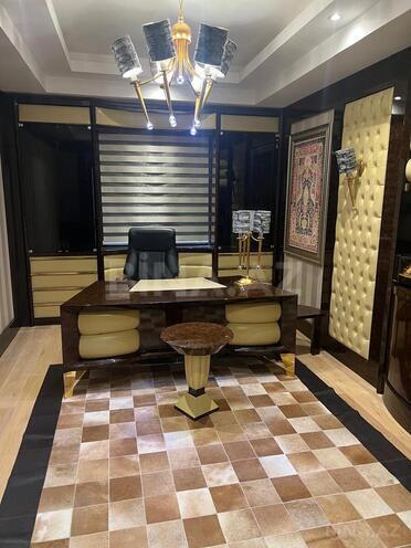 İcarəyə verilir 5 otaqlı yeni tikili 400 m², Gənclik m., photo 17 from 32