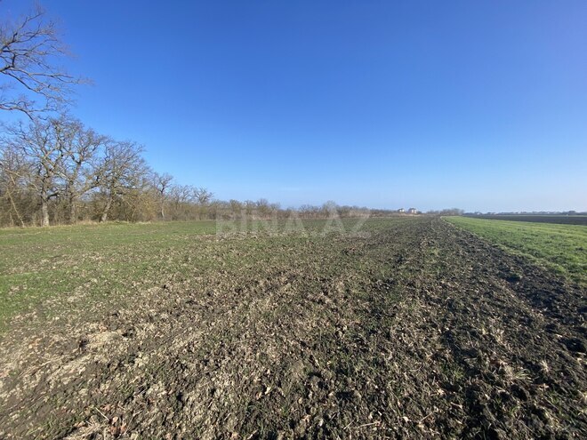 Satılır  torpaq 108 sot, Nabran r., photo 4 from 15