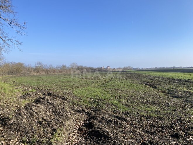 Satılır  torpaq 108 sot, Nabran r., photo 6 from 15