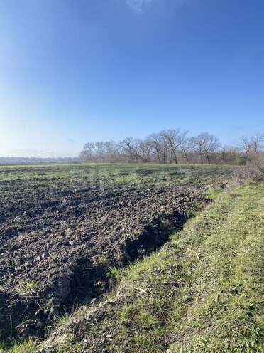 Satılır  torpaq 108 sot, Nabran r., photo 9 from 15