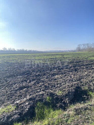 Satılır  torpaq 108 sot, Nabran r., photo 10 from 15