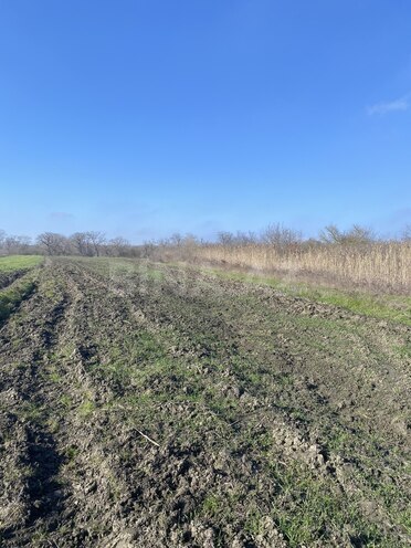 Satılır  torpaq 108 sot, Nabran r., photo 12 from 15