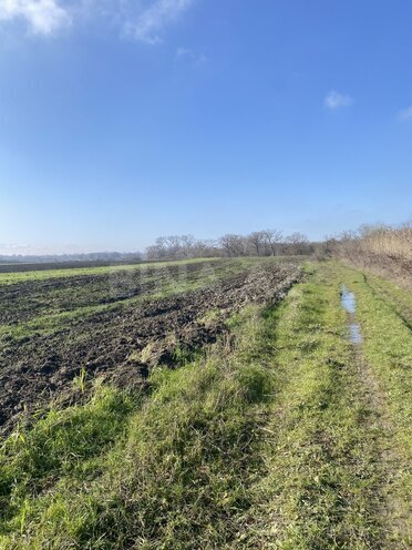 Satılır  torpaq 108 sot, Nabran r., photo 11 from 15