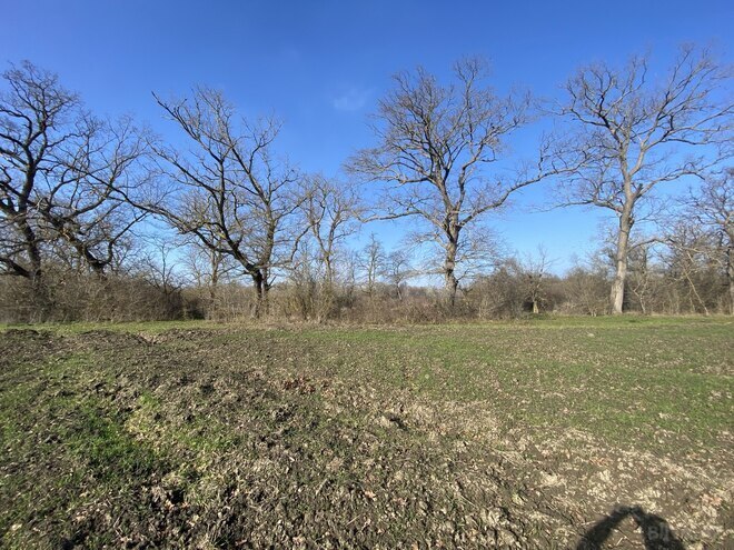 Satılır  torpaq 108 sot, Nabran r., photo 5 from 15