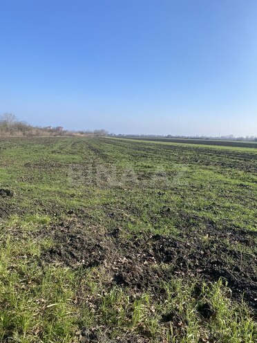 Satılır  torpaq 108 sot, Nabran r., photo 14 from 15