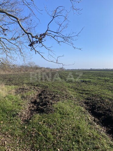 Satılır  torpaq 108 sot, Nabran r., photo 8 from 15