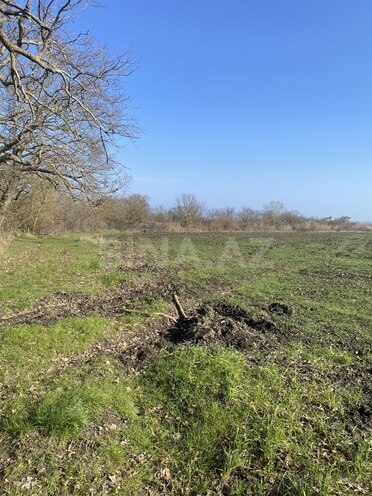 Satılır  torpaq 108 sot, Nabran r., photo 13 from 15