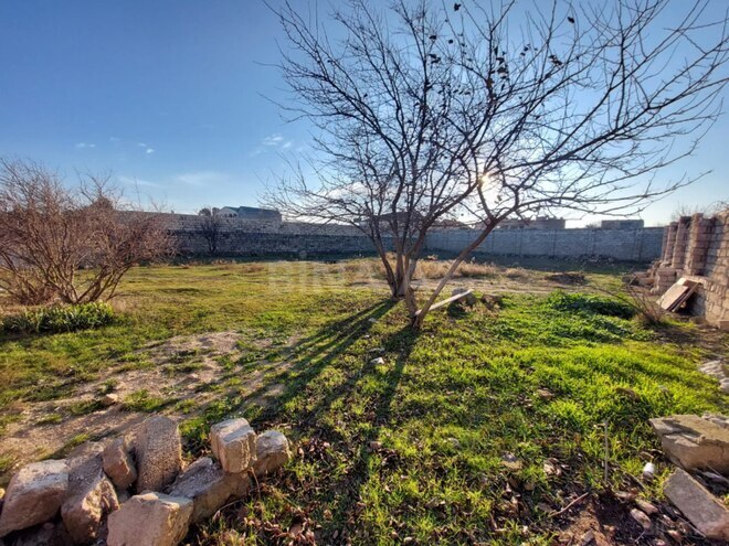 Продаётся  участок 10 сот, пос. Вишнёвка, photo 5 from 10