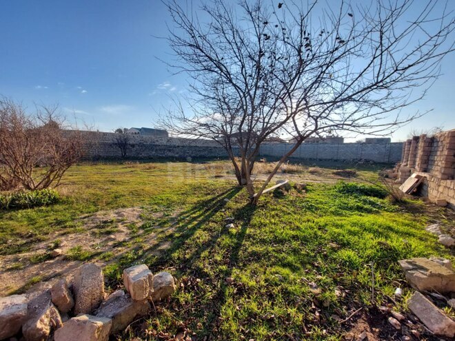 Продаётся  участок 10 сот, пос. Вишнёвка, photo 9 from 10