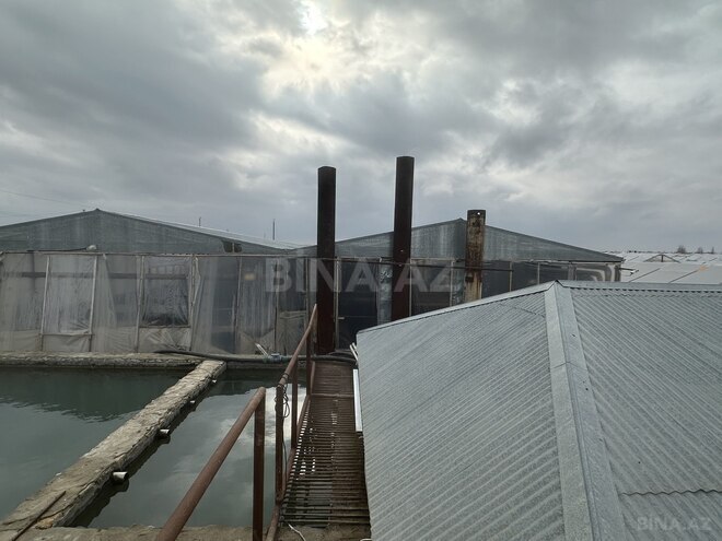 Satılır  obyekt 50 000 m², photo 19 from 31