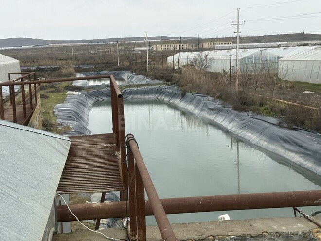 Satılır  obyekt 50 000 m², photo 20 from 31