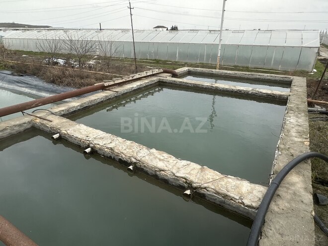 Satılır  obyekt 50 000 m², photo 21 from 31