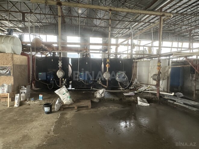 Satılır  obyekt 50 000 m², photo 23 from 31