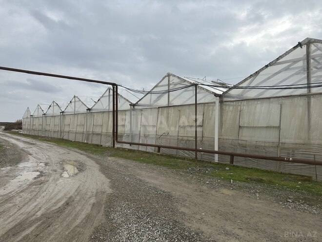 Satılır  obyekt 50 000 m², photo 4 from 31