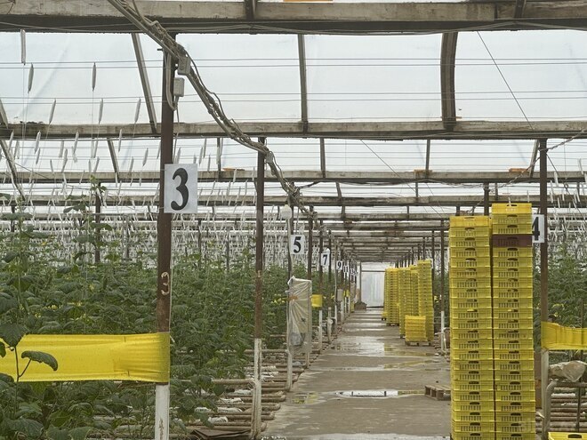 Satılır  obyekt 50 000 m², photo 29 from 31