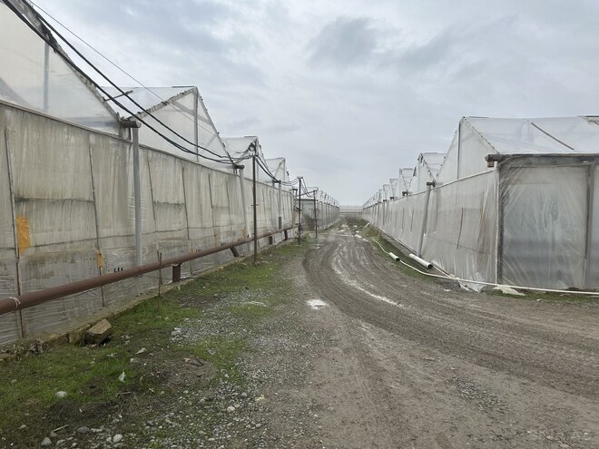 Satılır  obyekt 50 000 m², photo 3 from 31