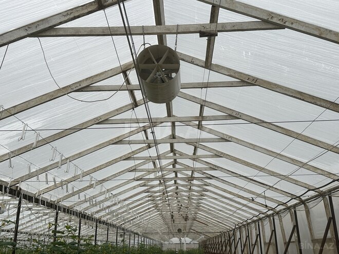 Satılır  obyekt 50 000 m², photo 11 from 31