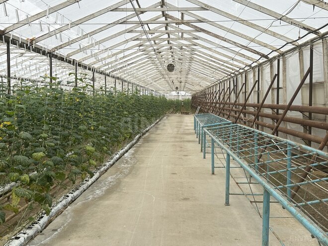 Satılır  obyekt 50 000 m², photo 12 from 31