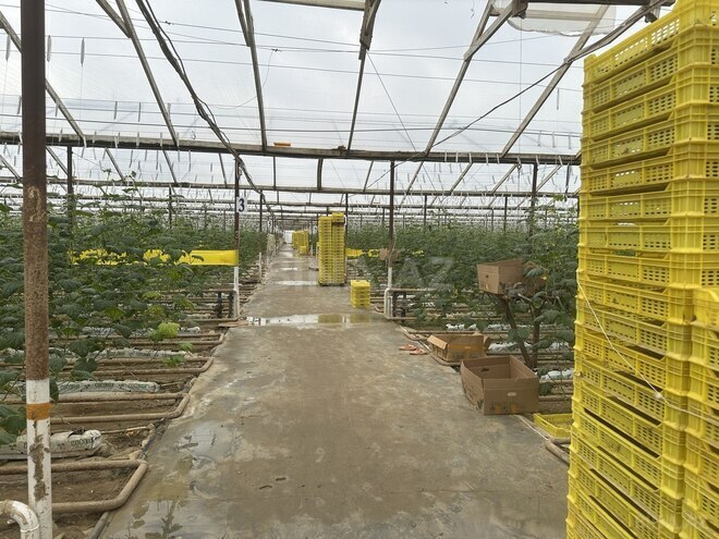 Satılır  obyekt 50 000 m², photo 30 from 31