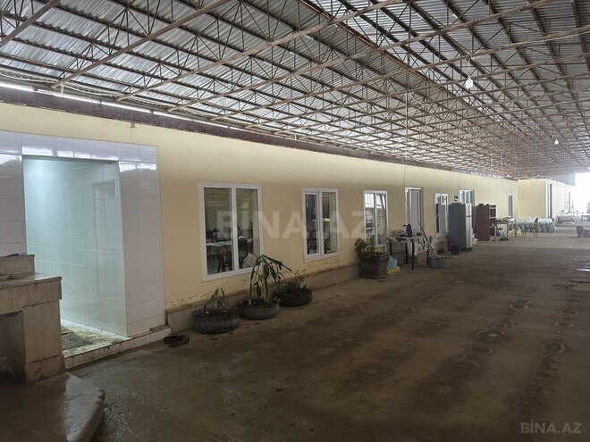 Satılır  obyekt 50 000 m², photo 8 from 31