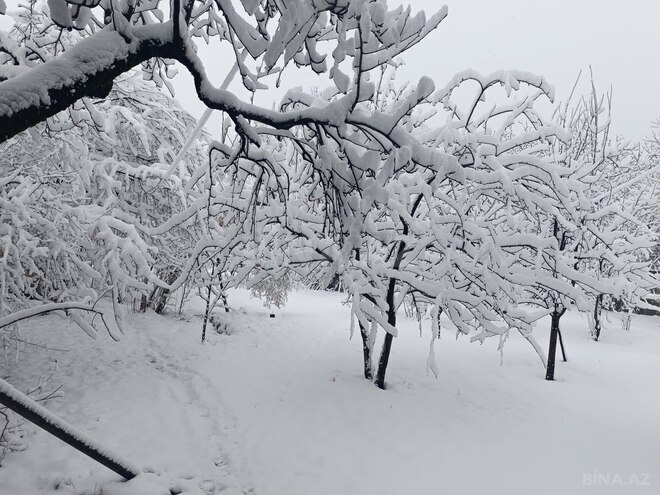 İcarəyə verilir 3 otaqlı həyət evi/bağ evi 100 m², photo 13 from 32