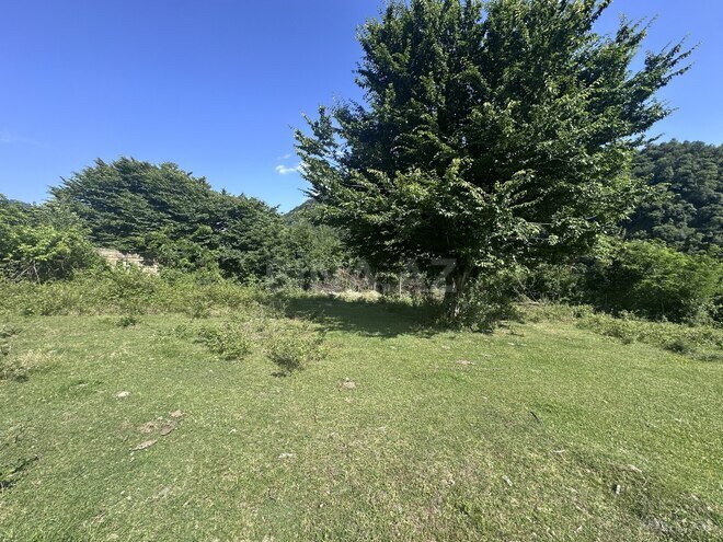 Продаётся  участок 16 сот, photo 6 from 11