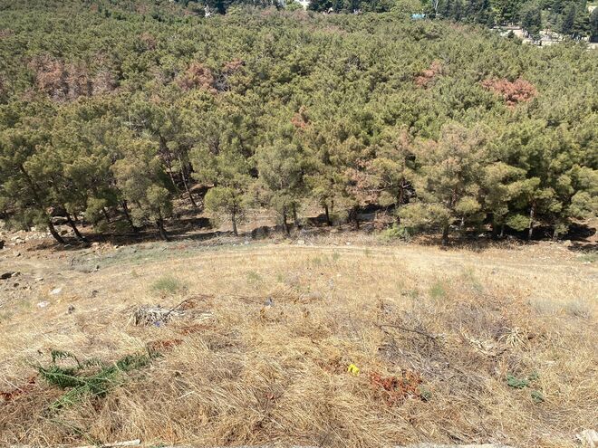 Satılır  torpaq 6 sot, Elmlər Akademiyası m., photo 3 from 5