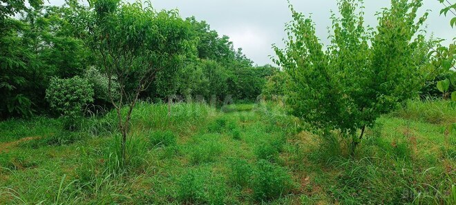 Satılır  torpaq 150 sot, photo 3 from 15