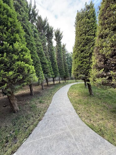 Satılır 12 otaqlı həyət evi/bağ evi 1 150 m², Masazır q., photo 3 from 15