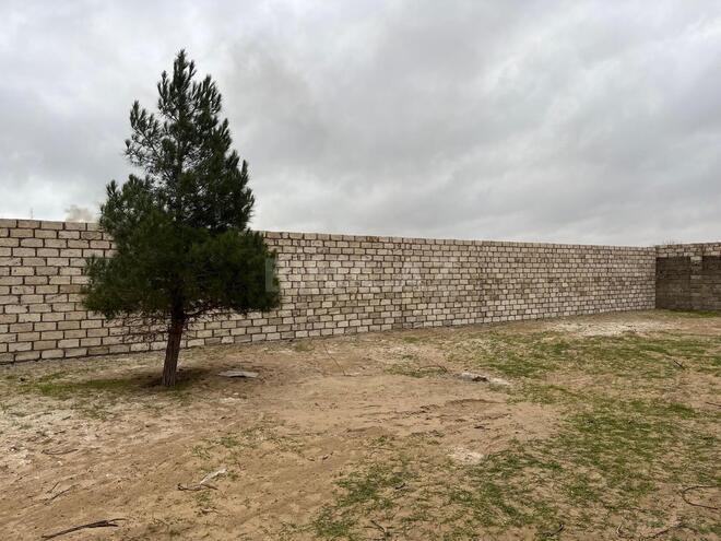 Satılır  torpaq 5 sot, Albalılıq q., photo 6 from 7