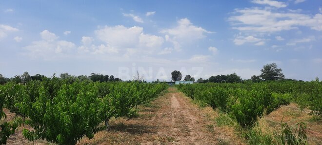 Satılır  torpaq 500 sot, photo 6 from 13