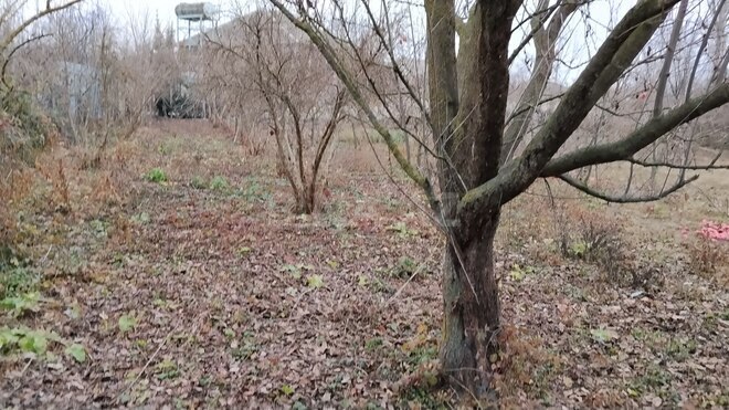 Satılır  torpaq 6 sot, photo 6 from 8