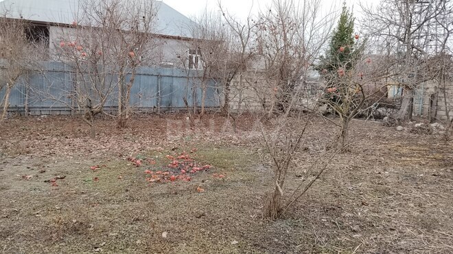 Satılır  torpaq 6 sot, photo 3 from 8