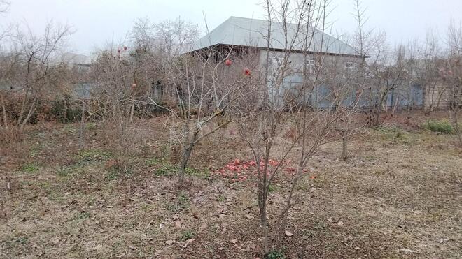 Satılır  torpaq 6 sot, photo 5 from 8