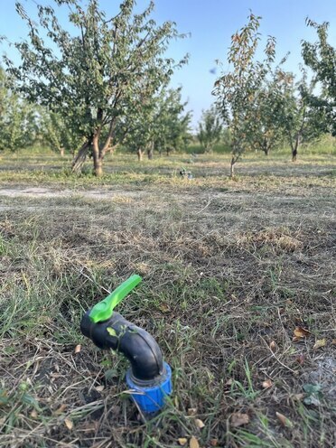 Продаётся  участок 200 сот, Хачмазский р., photo 10 from 13